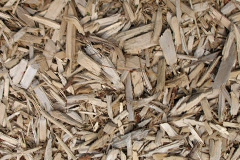 biomass boilers Hundalee